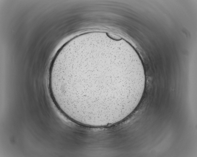 X0000111651523200908141240