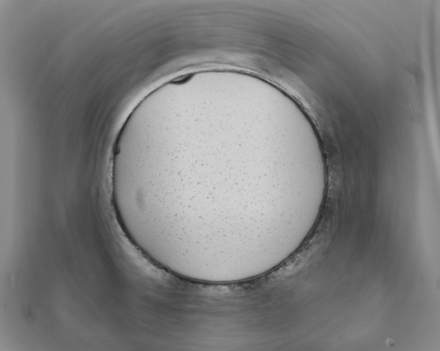 X0000111651524200908141240