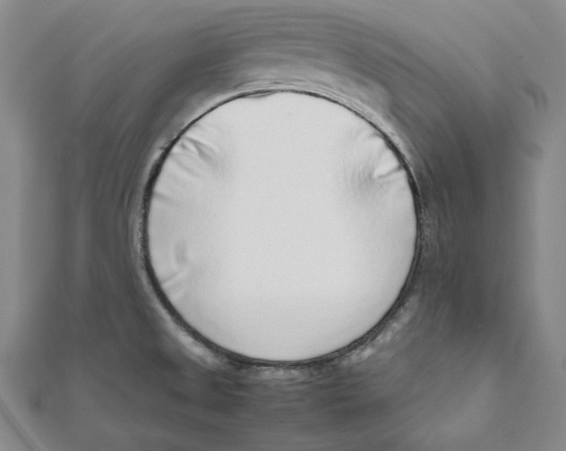 X0000111651525200908141240