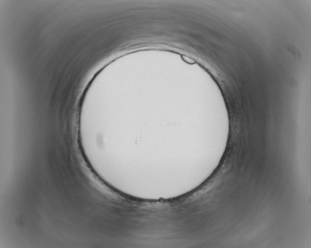 X0000111651526200908141240