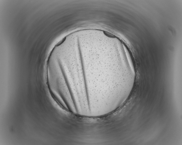X0000111651528200908141240