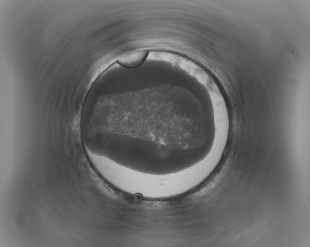 X0000111651529200908141240