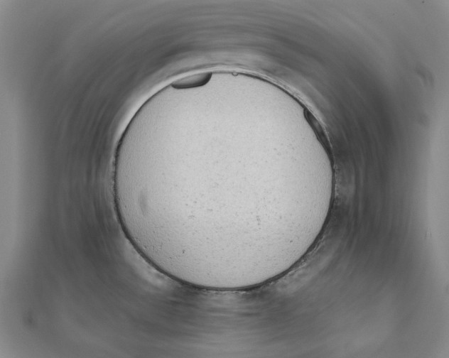 X0000111651532200908141240
