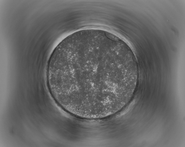 X0000111651533200908141240