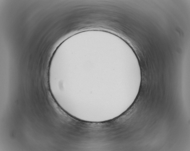 X0000111651534200908141240
