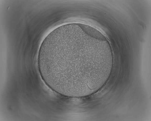 X0000111651536200908141240