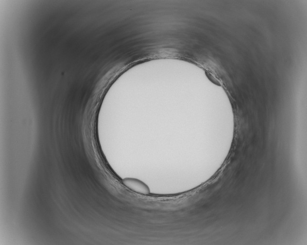 X0000111650001200908281058