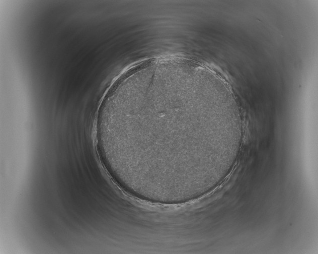 X0000111650002200908281058