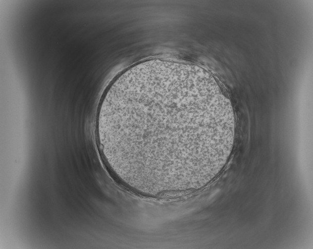 X0000111650003200908281058