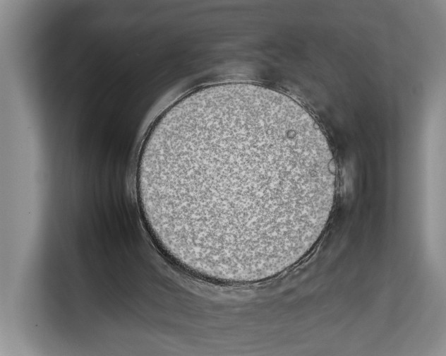 X0000111650004200908281058
