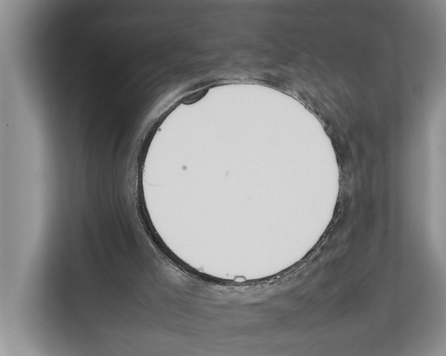 X0000111650005200908281058
