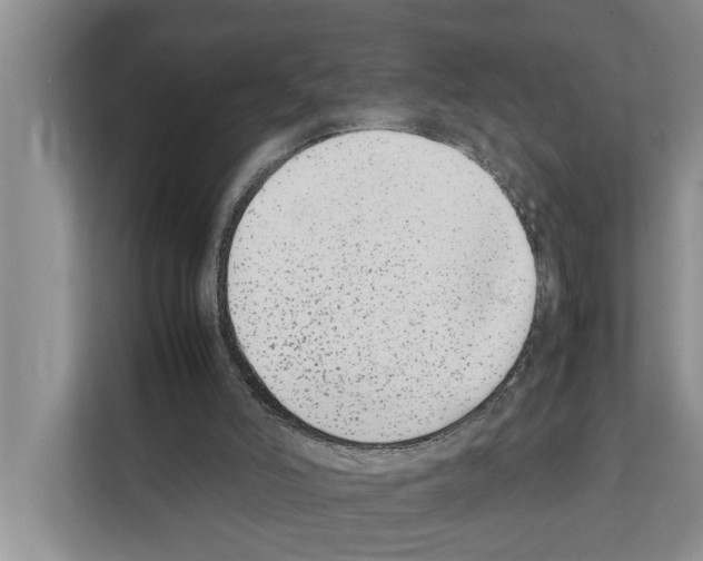 X0000111650006200908281058