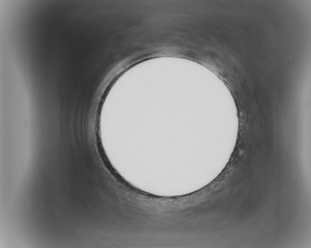 X0000111650007200908281058