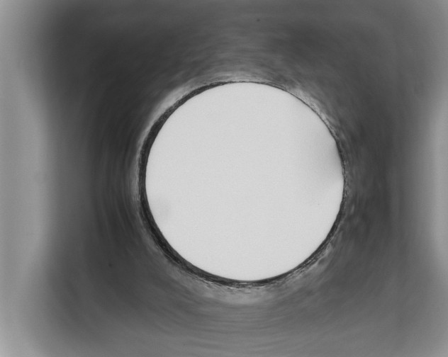 X0000111650008200908281058