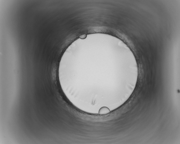 X0000111650010200908281058