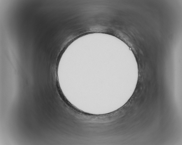 X0000111650011200908281058