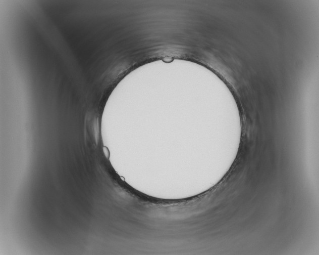 X0000111650013200908281058