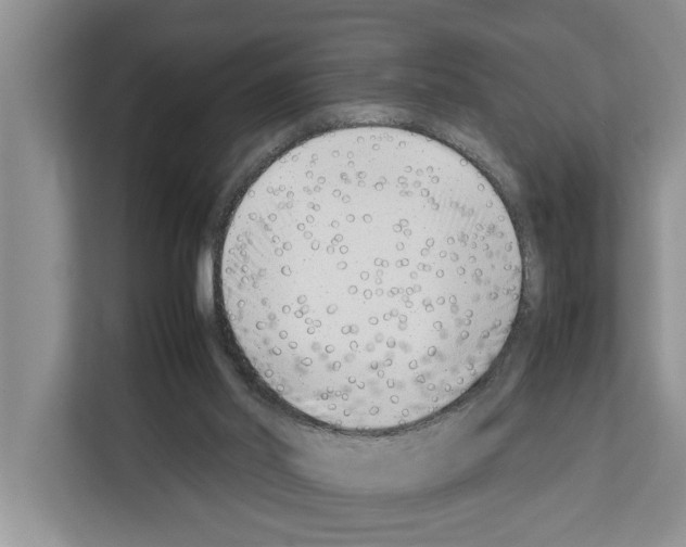 X0000111650014200908281058