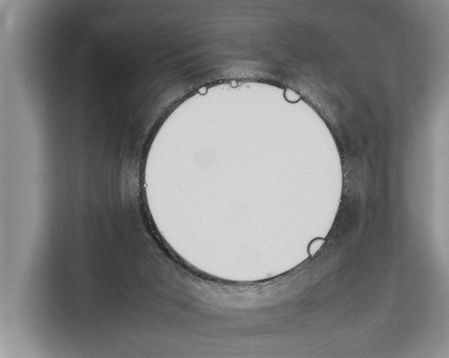 X0000111650015200908281058
