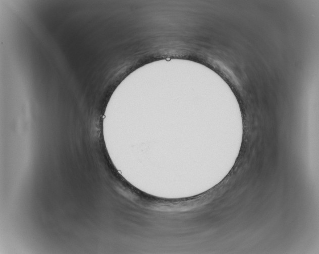 X0000111650017200908281058