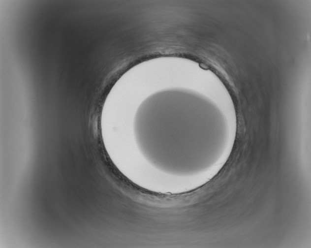 X0000111650019200908281058