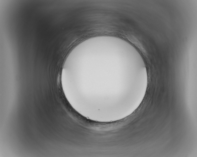 X0000111650021200908281058