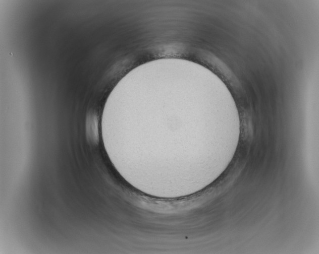 X0000111650022200908281058