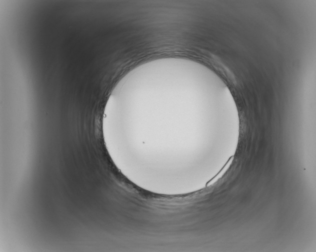 X0000111650025200908281058