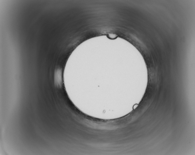 X0000111650028200908281058
