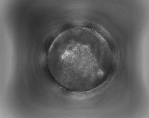 X0000111650029200908281058