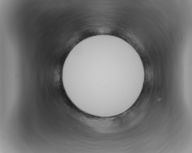 X0000111650032200908281058