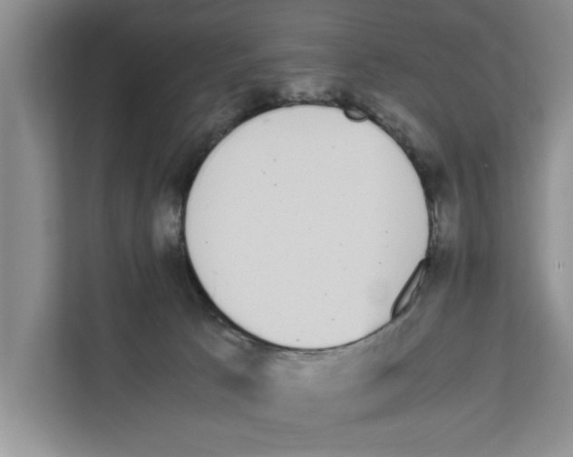 X0000111650033200908281058