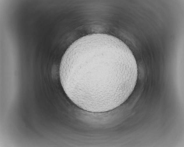 X0000111650034200908281058
