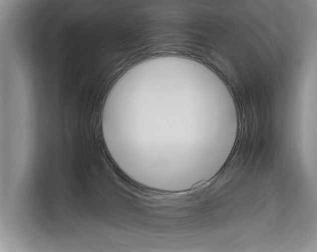 X0000111650036200908281058