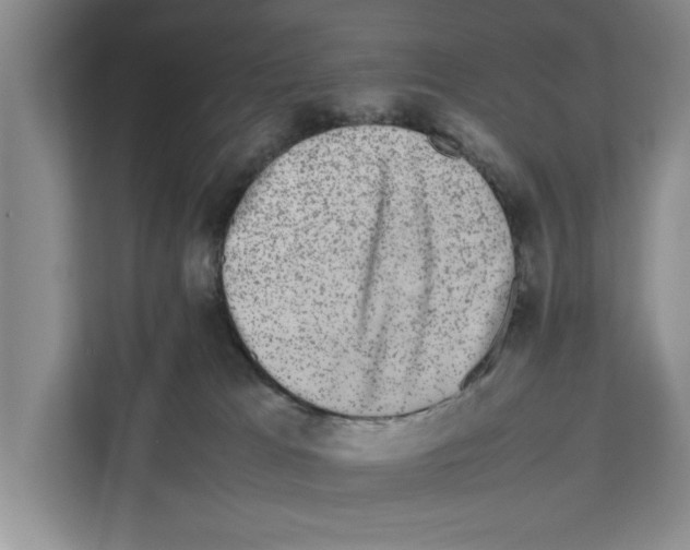 X0000111650037200908281058