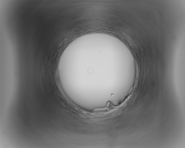 X0000111650039200908281058