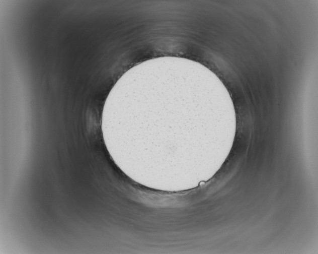 X0000111650040200908281058
