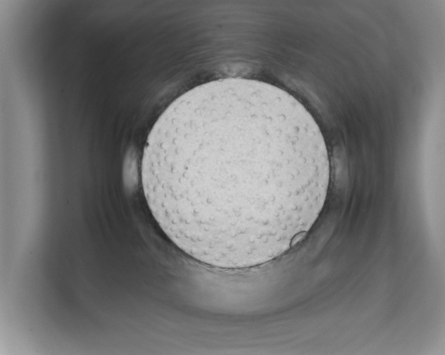 X0000111650042200908281058