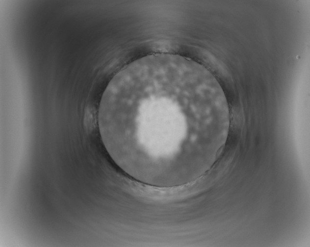 X0000111650043200908281058