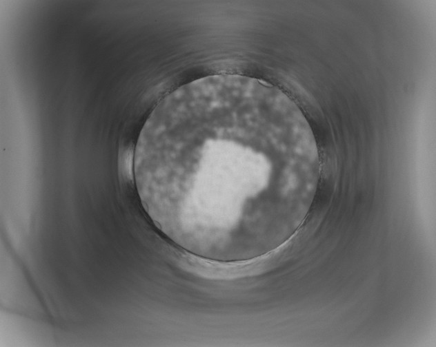X0000111650047200908281058