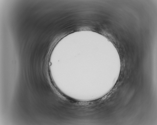 X0000111650049200908281057