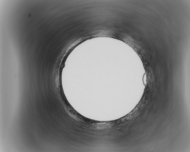 X0000111650050200908281057