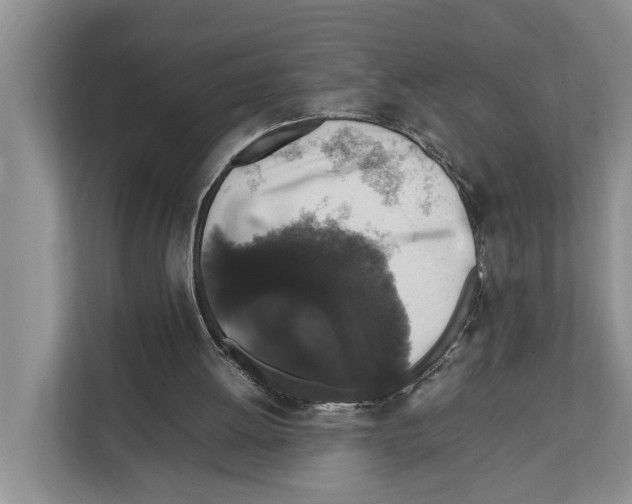 X0000111650052200908281057