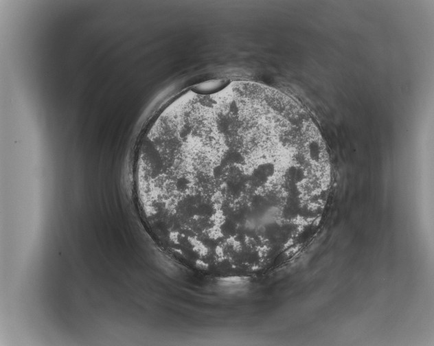 X0000111650053200908281057