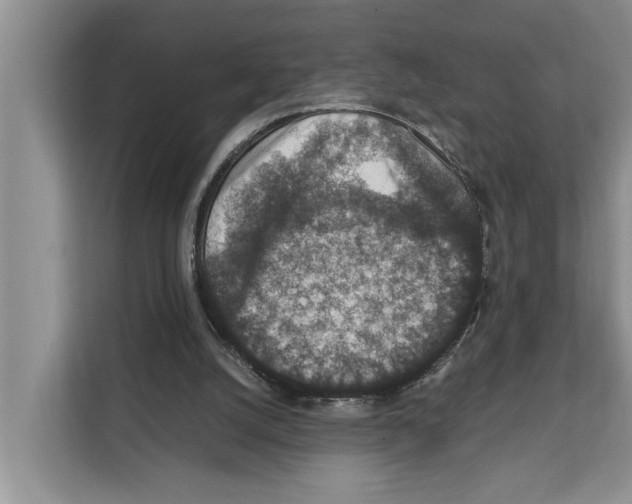 X0000111650056200908281057