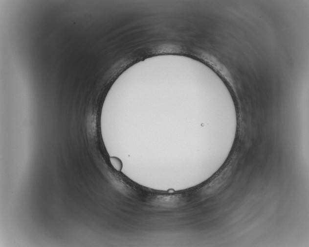X0000111650057200908281057