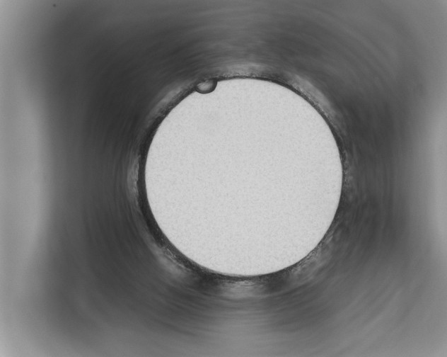 X0000111650058200908281057