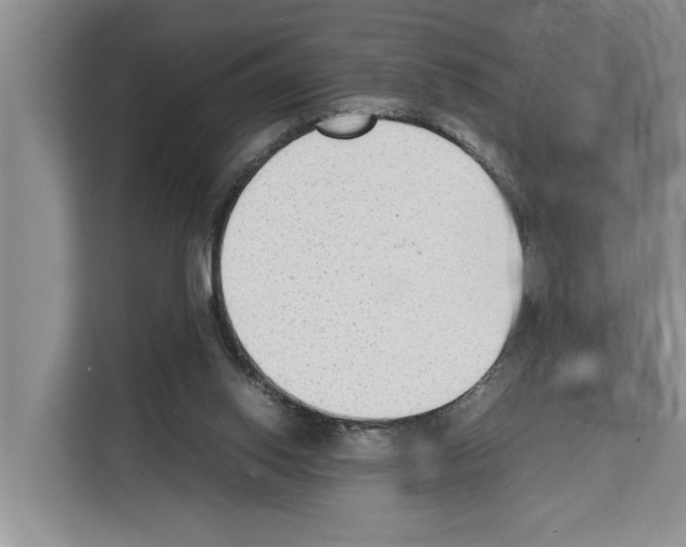 X0000111650062200908281057