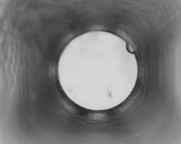 X0000111650063200908281057