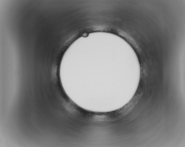 X0000111650066200908281057